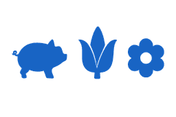 Formas de las galletas